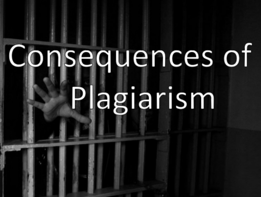 Consequences of pliagarism